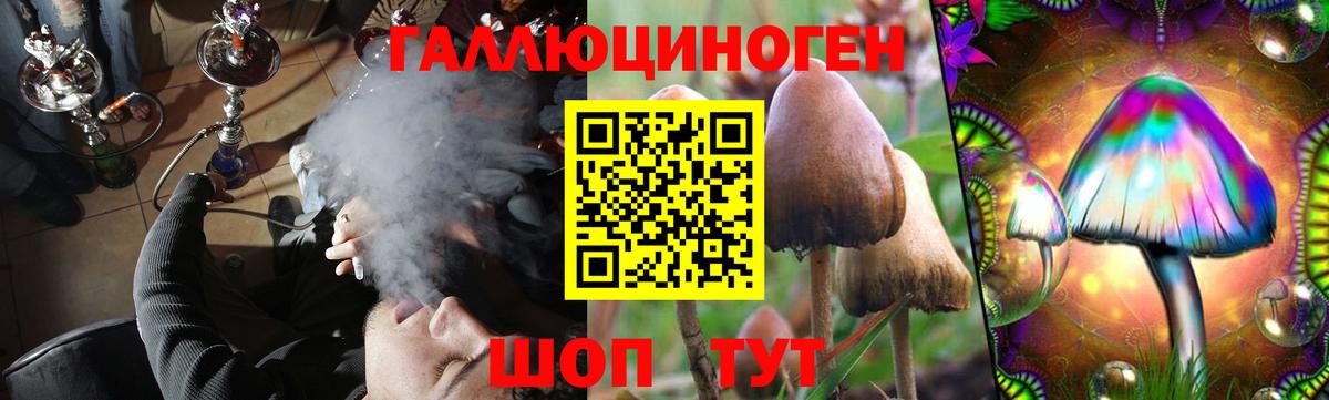 купить наркоту  Псилоцибиновые грибы Magic Shrooms  Вход с VPN  Ханты-Мансийск 